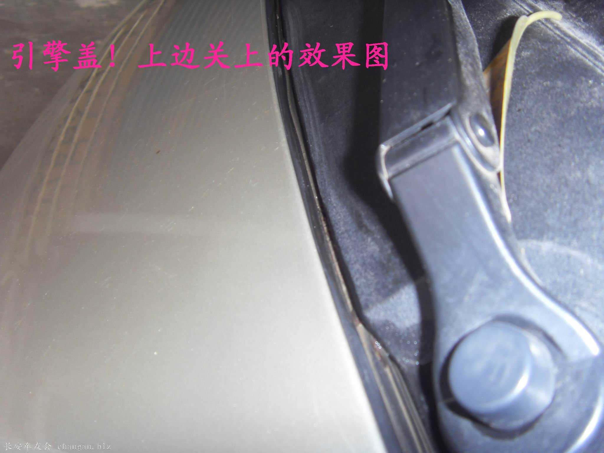 SDC14102.JPG