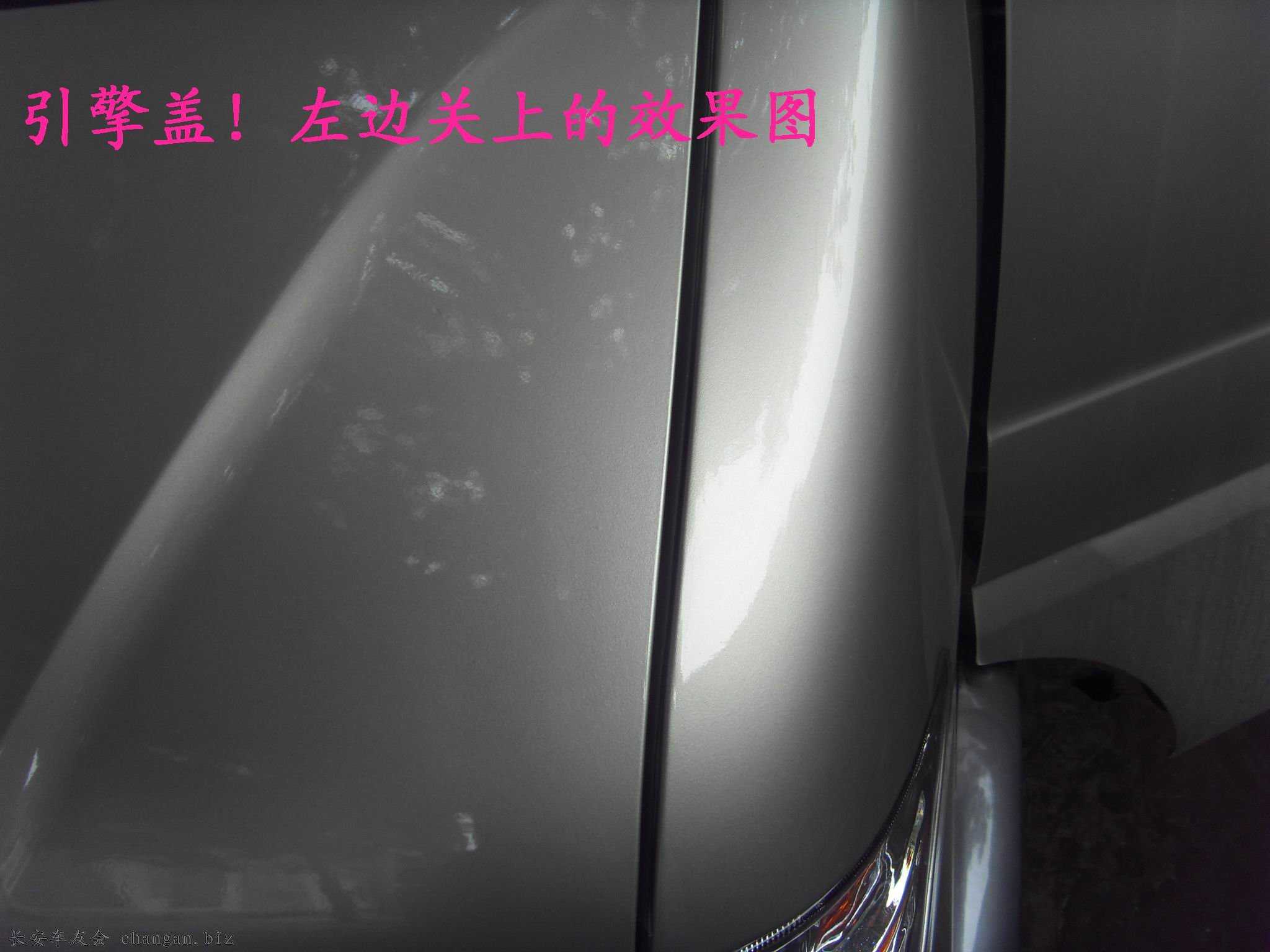 SDC14101.JPG