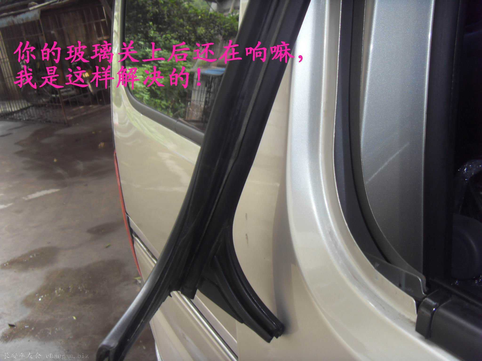 SDC14138.JPG