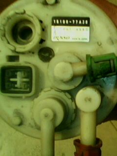 IMG0034A.jpg