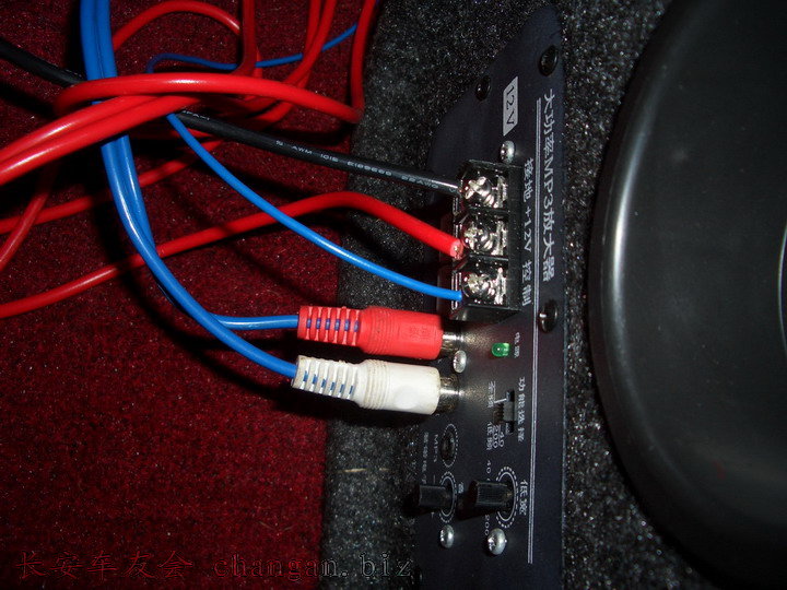 CIMG0110.JPG