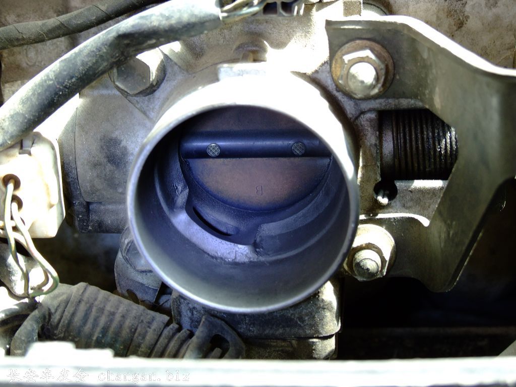 DSCF4020.JPG