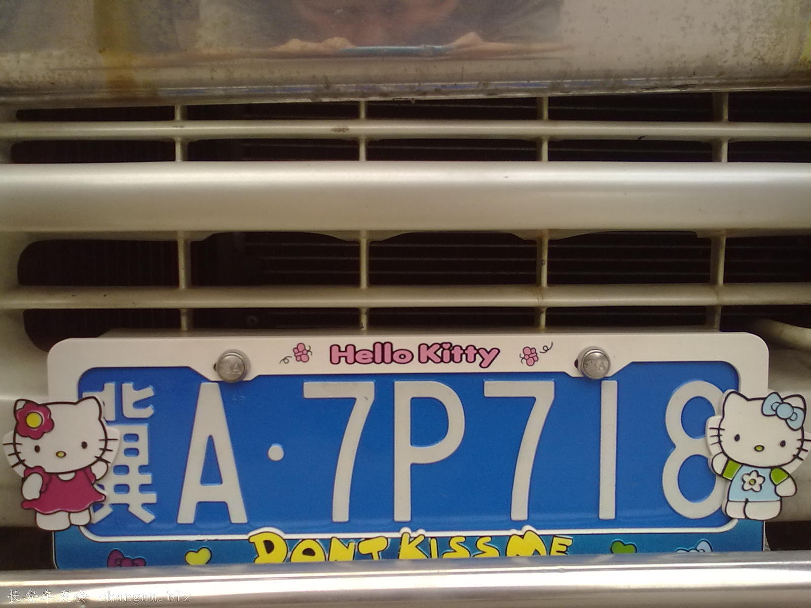 20100721079.jpg