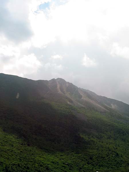 IMG_1180.jpg