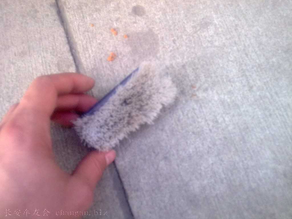 20101210454.jpg