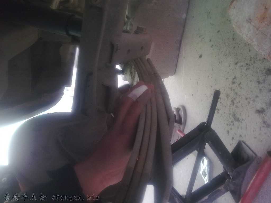 20101210460.jpg