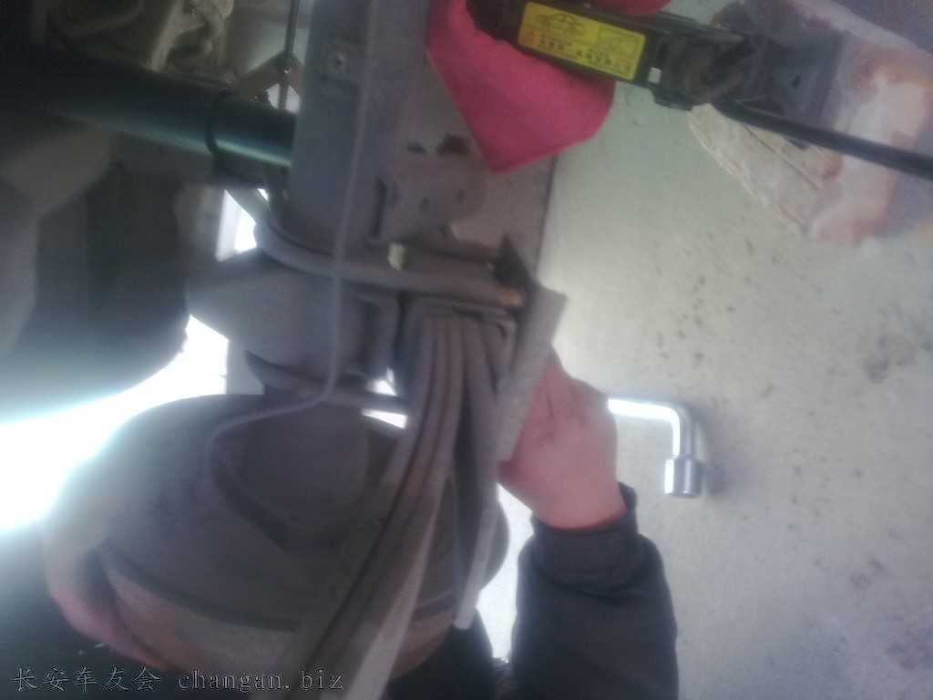 20101210456.jpg