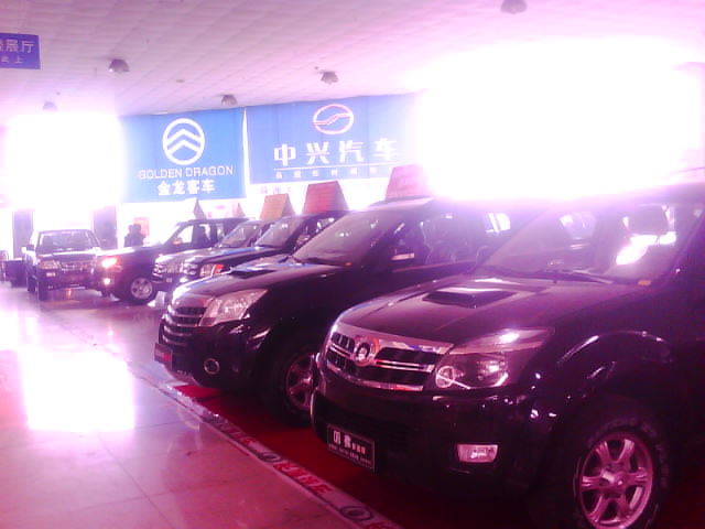 IMG0217A.jpg