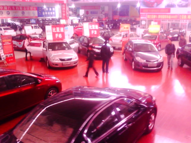 IMG0221A.jpg