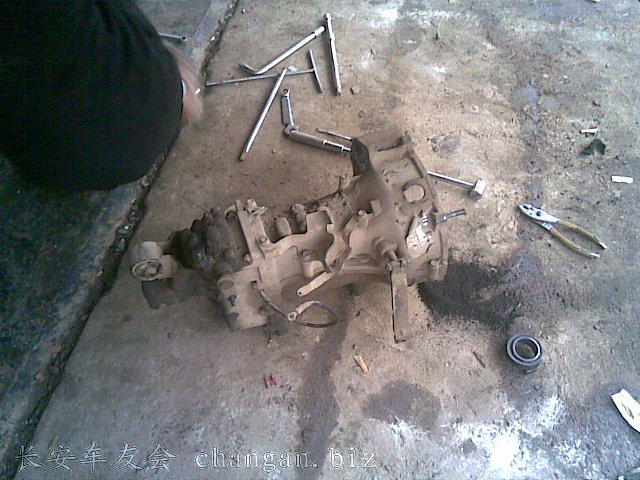 20110406(002).jpg