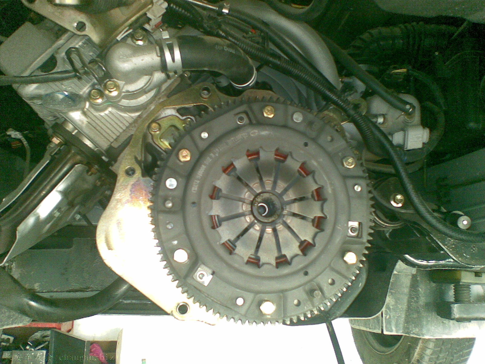 20110418.jpg