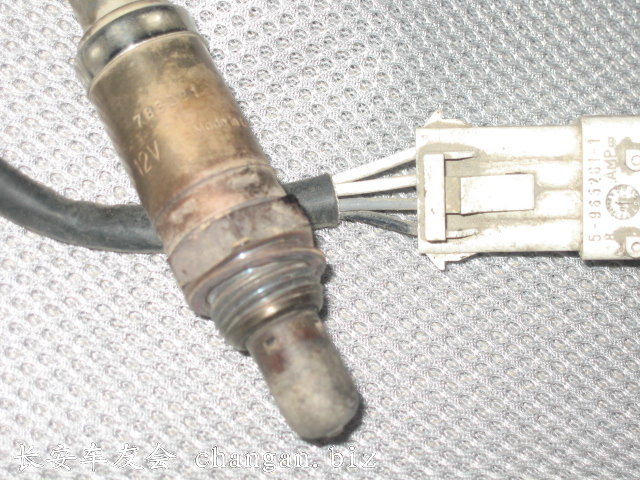 ˲  
