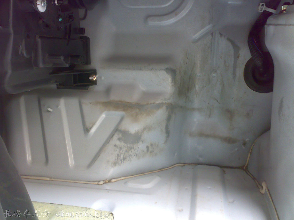 20110515137.jpg