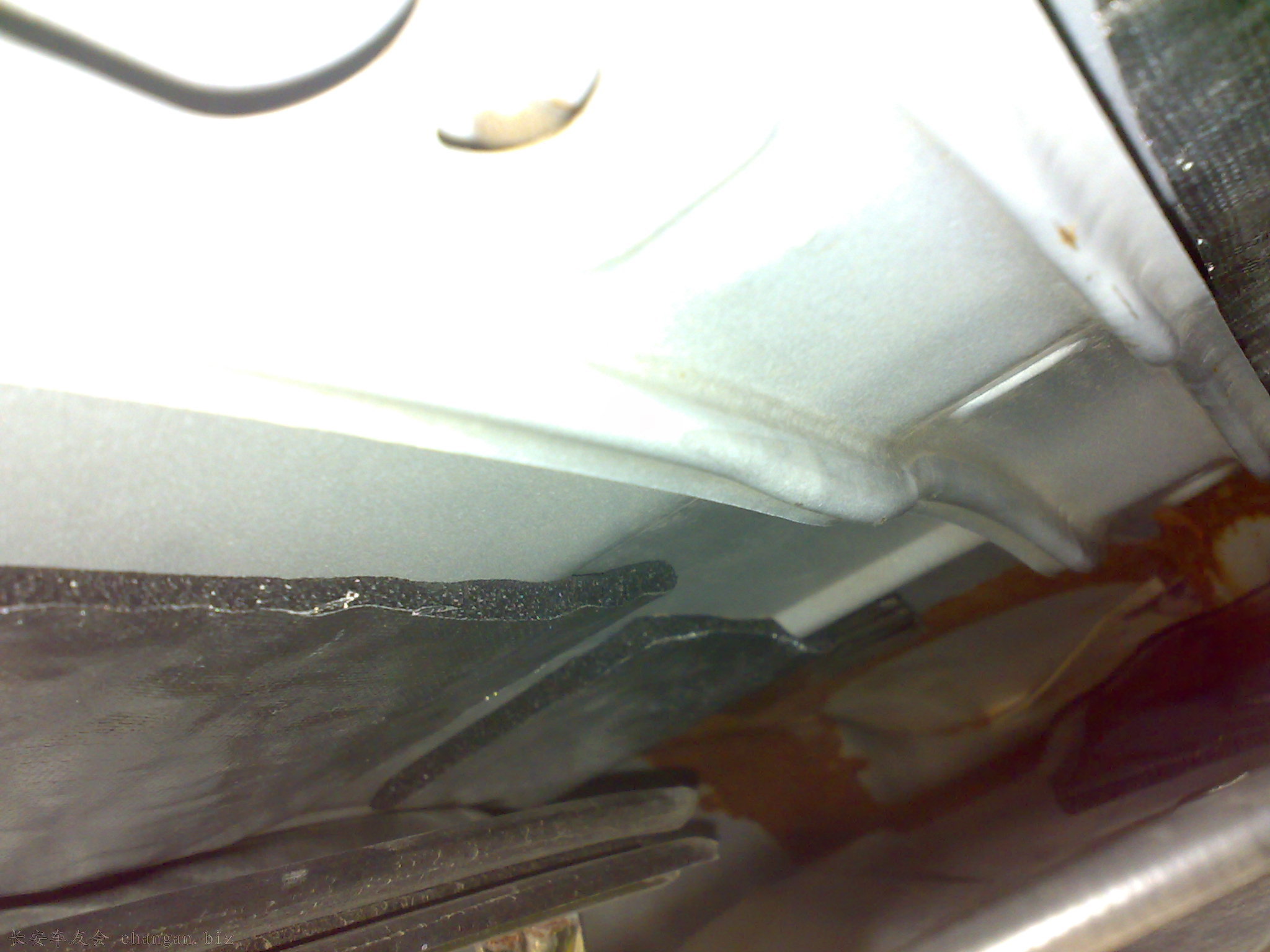 20110514123.jpg