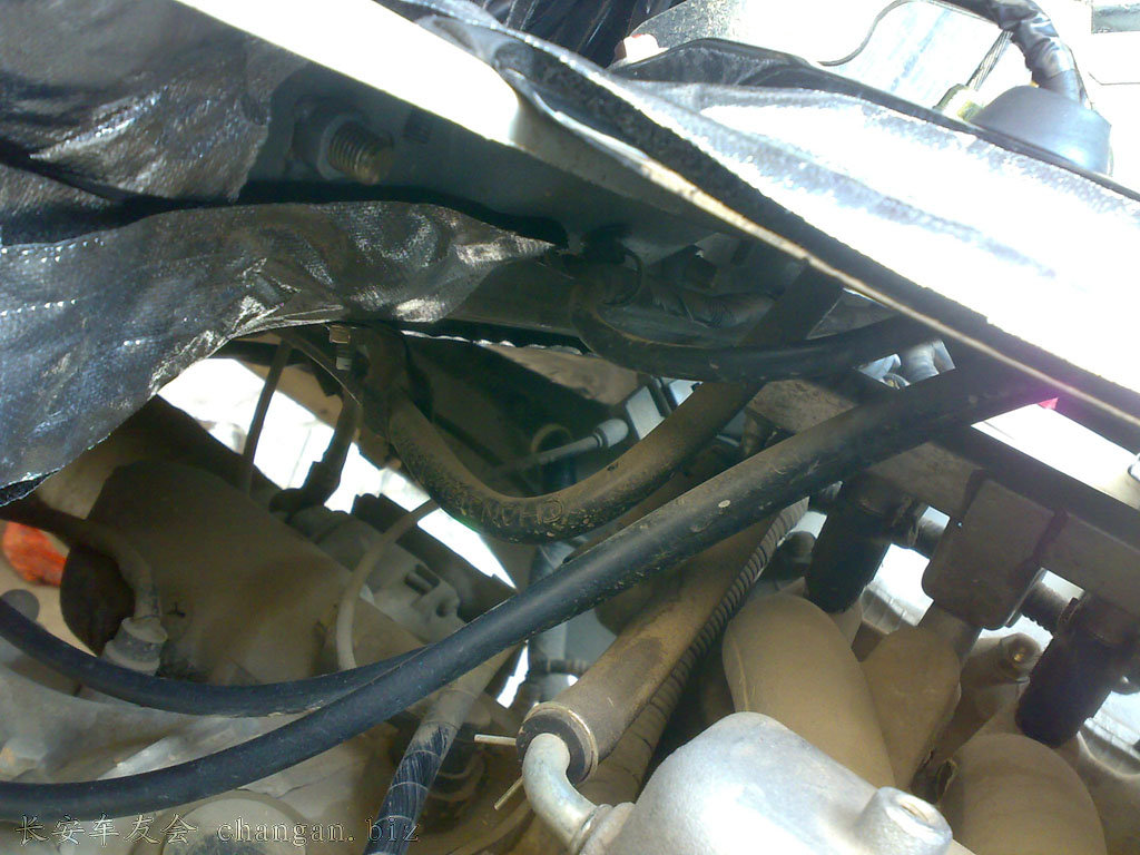 20110516161.jpg