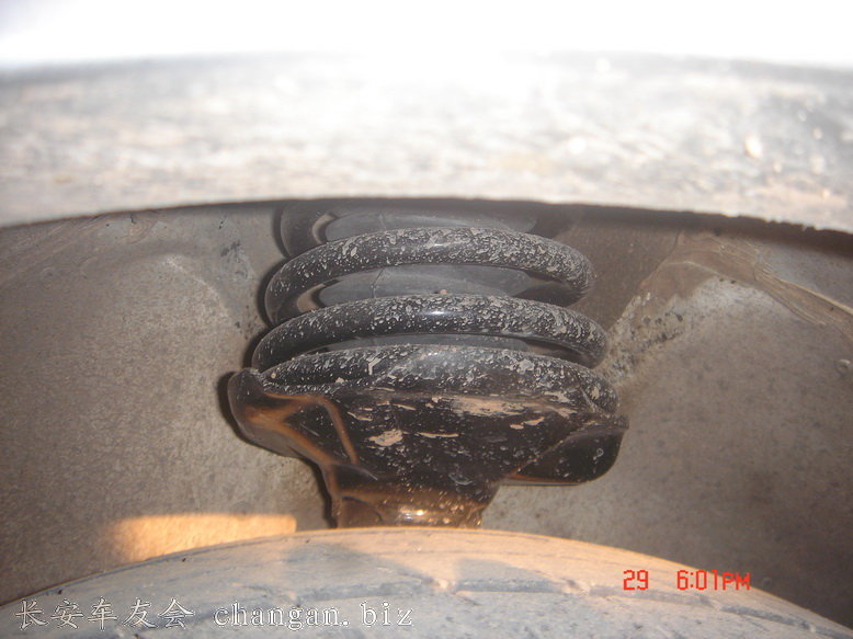 DSC00007_С.JPG