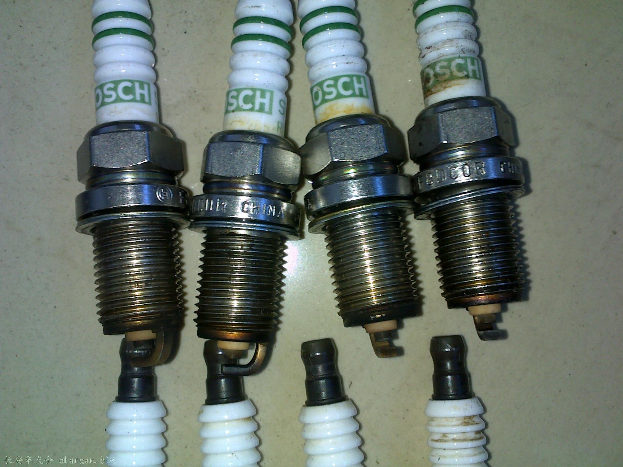 20110702014.jpg