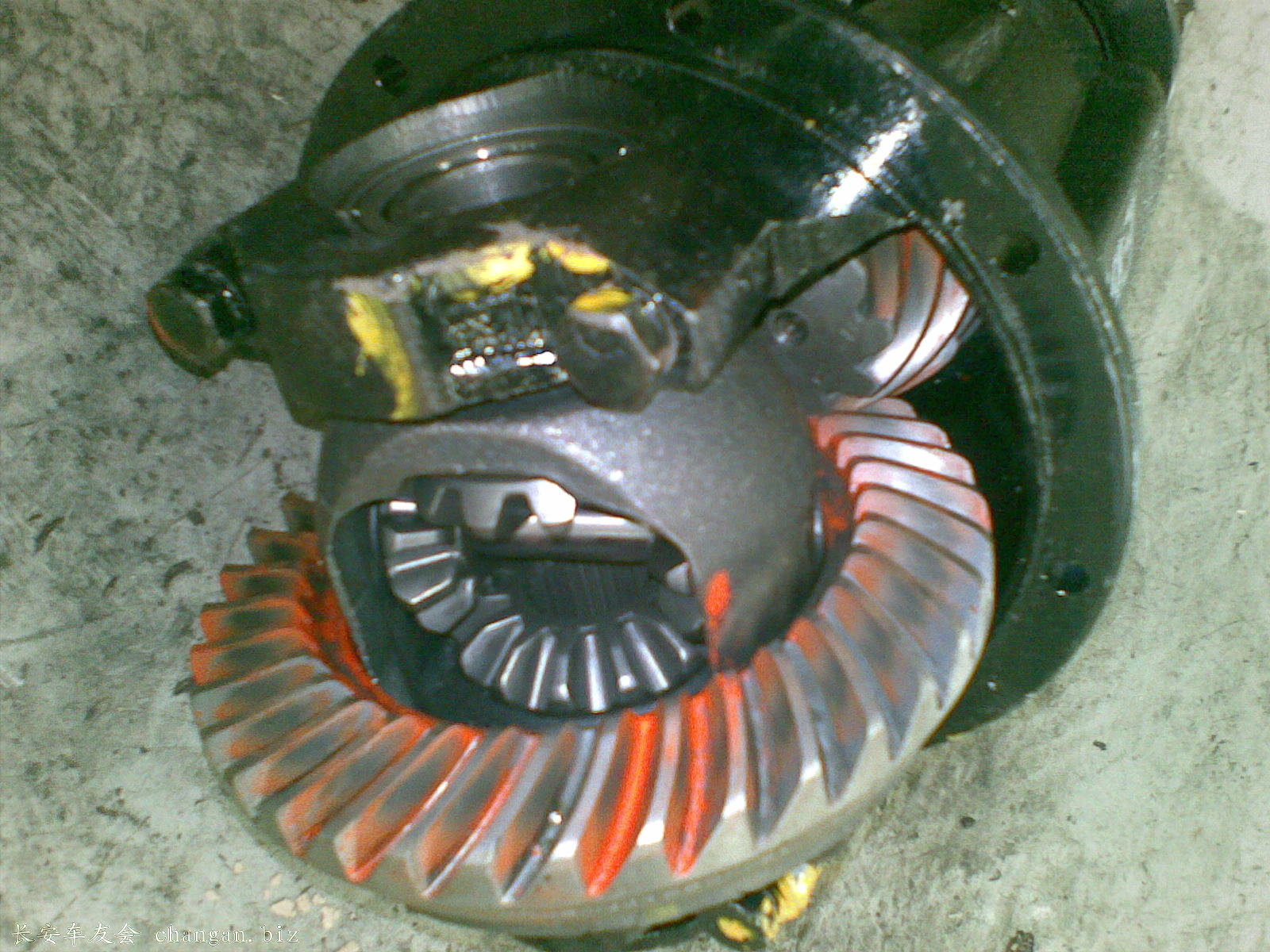 20110713_001.jpg
