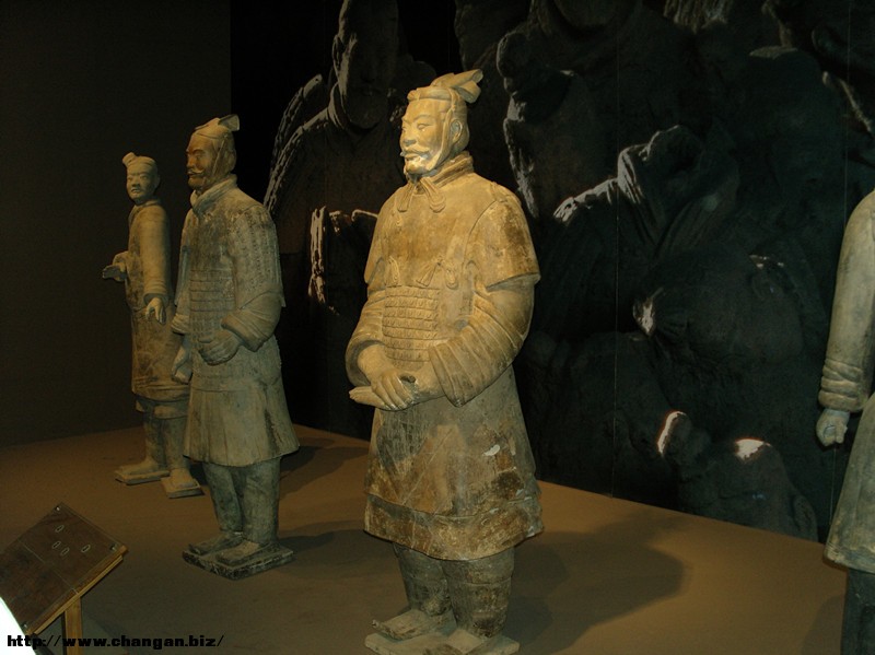 SNV11729_.jpg