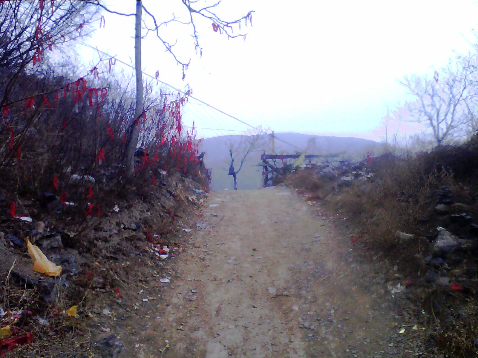 20120301_1032_1.jpg