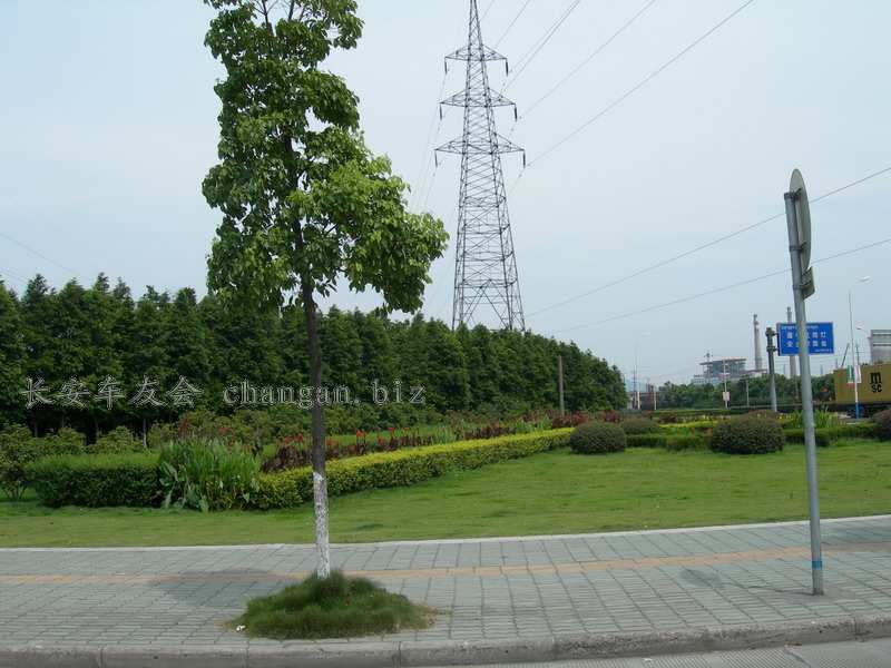 DSCN4133.JPG
