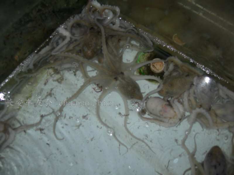 DSCN4132.JPG