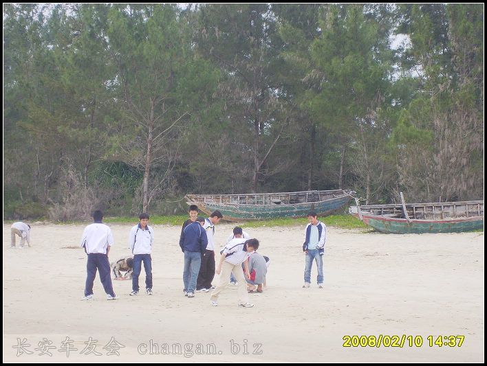 bS6000307.jpg