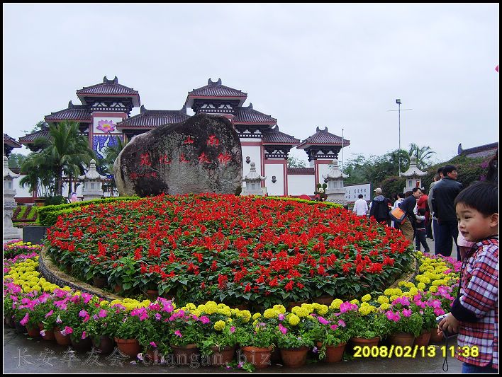eeS6000146.jpg