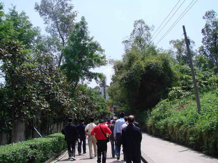 DSC04648.JPG