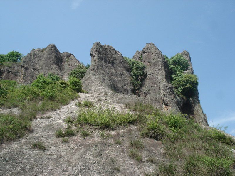 DSC02838.JPG