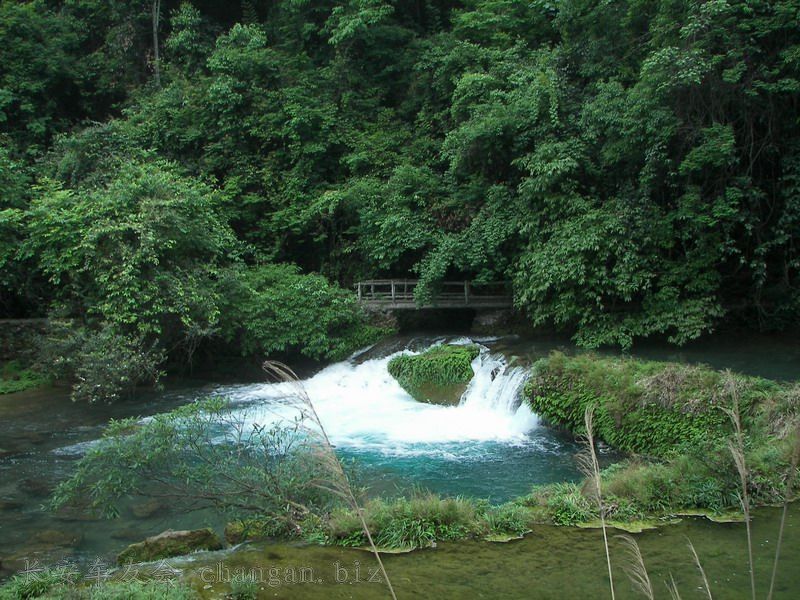 100_6073.JPG
