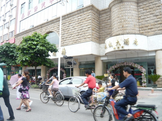 P1000904.jpg