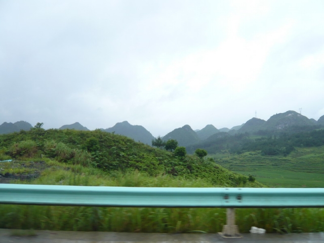 P1000891.jpg