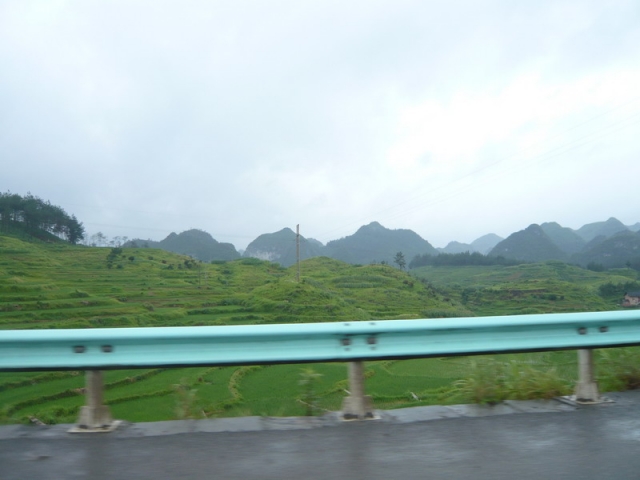 P1000892.jpg