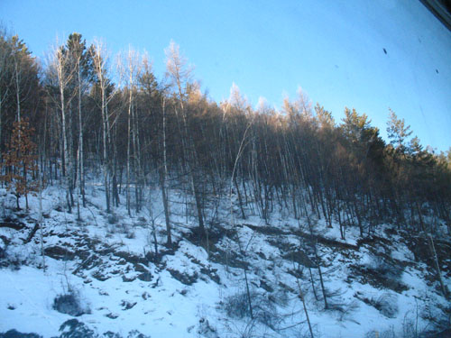 IMG_9478.jpg