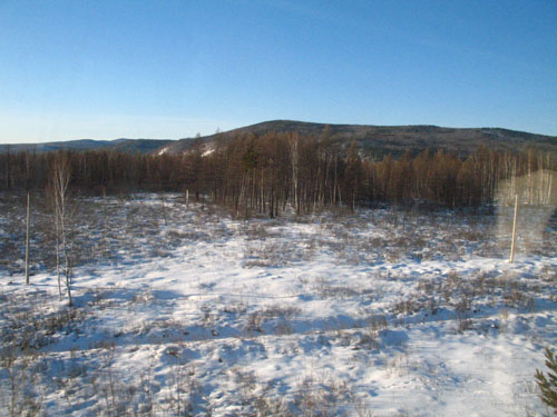IMG_9484.jpg