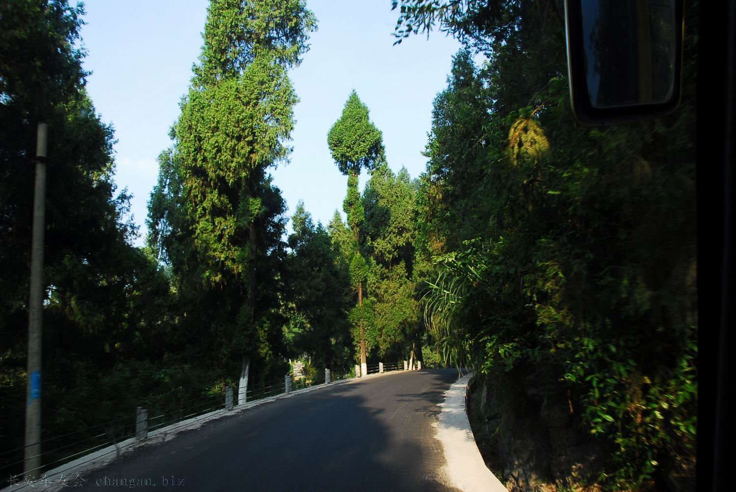 DSC_4418.JPG