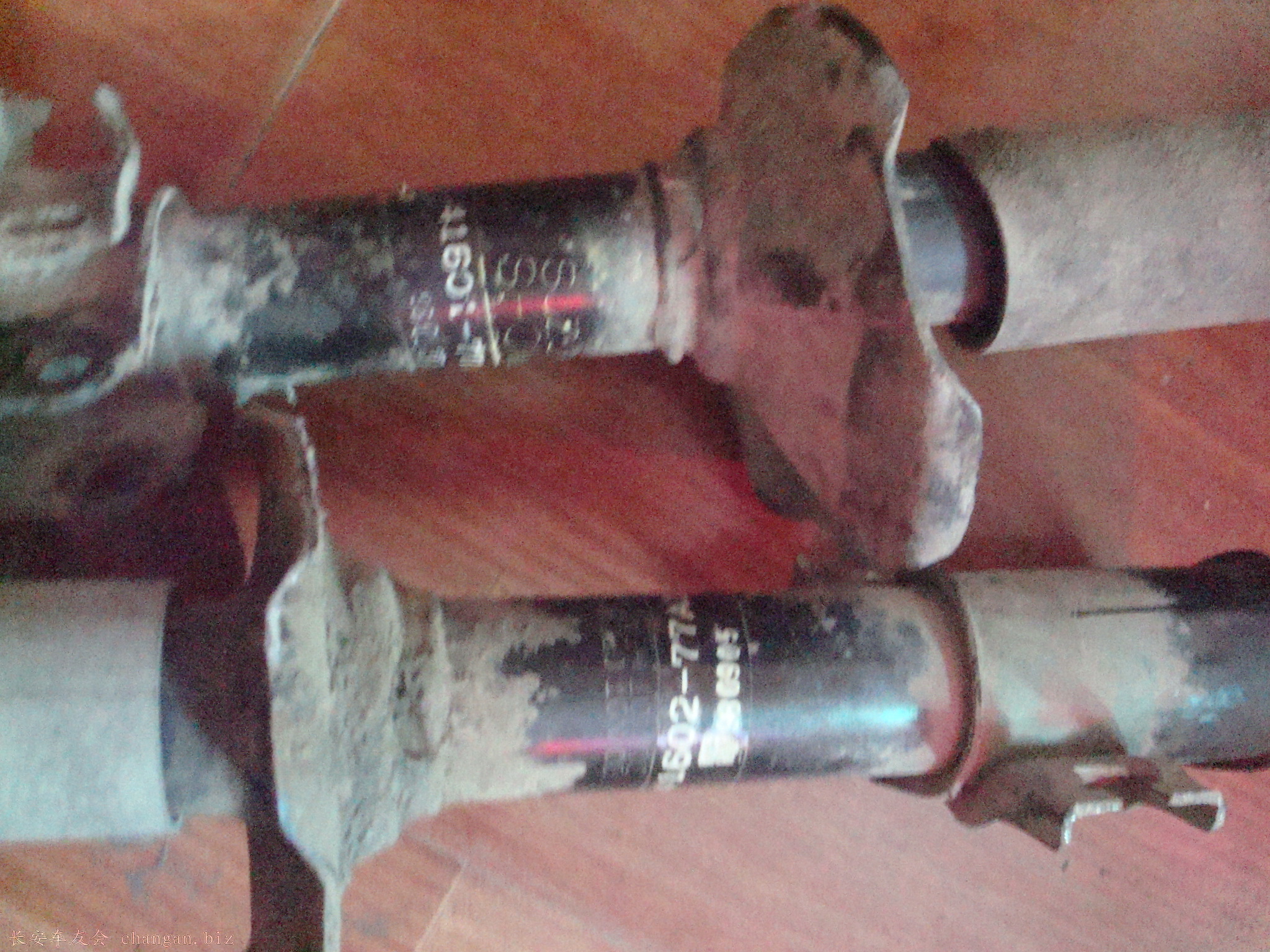 DSC02395.JPG