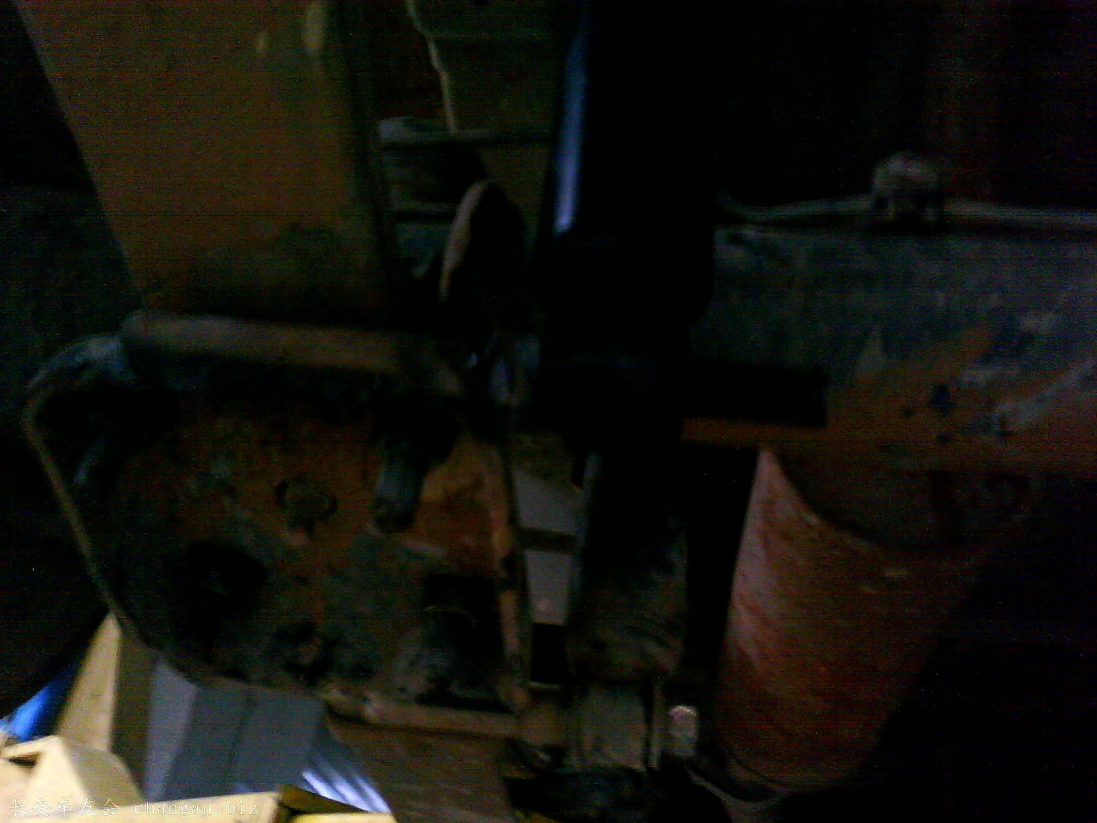 IMG0713A.jpg