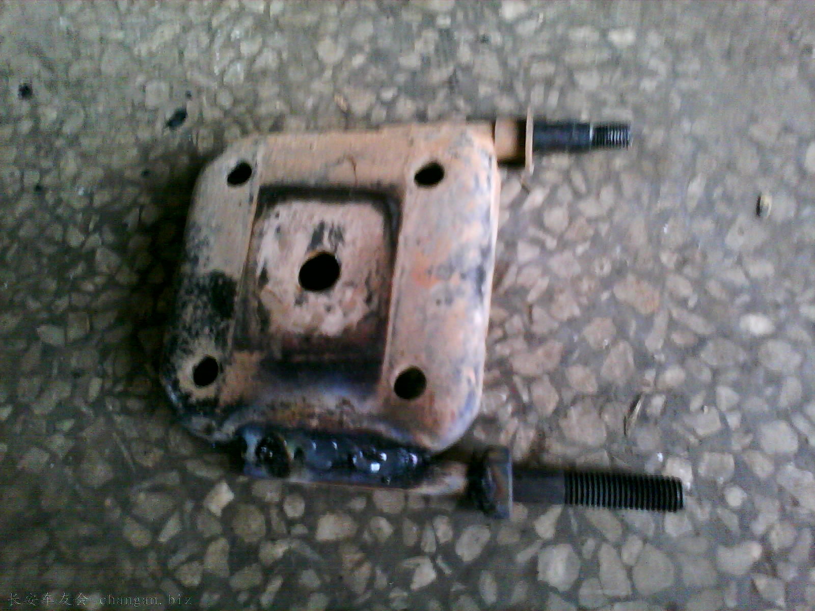 IMG0710A.jpg
