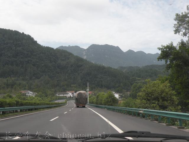 IMAGE (201).JPG