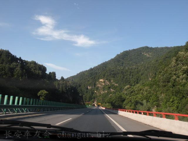 IMAGE (186).JPG