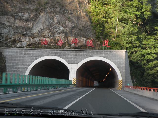 IMAGE (180).JPG