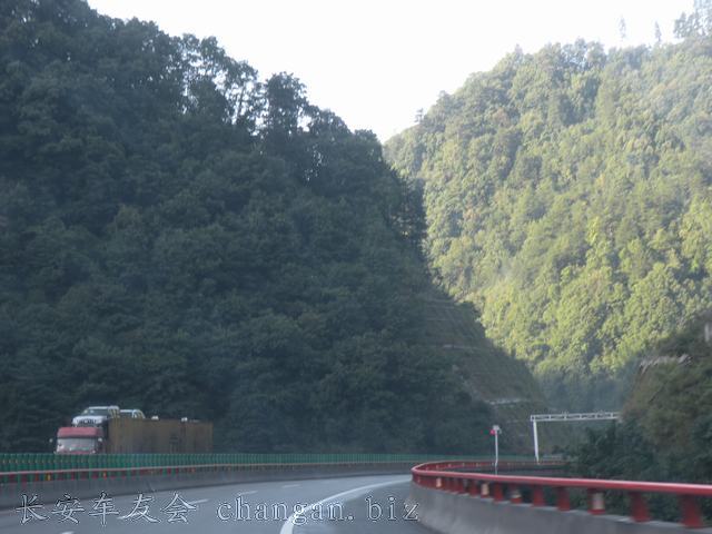 IMAGE (179).JPG